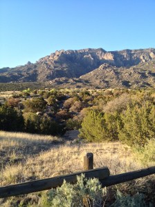 A look at Sandia Peak from the Elena Gallegos picnic area