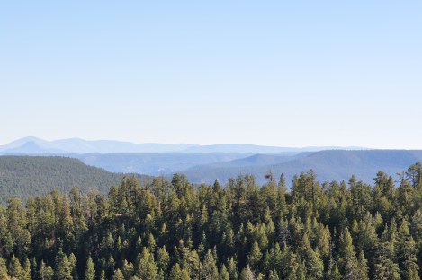 A look over the ridge to the descending ridges in unit 5B near Llaves New Mexico