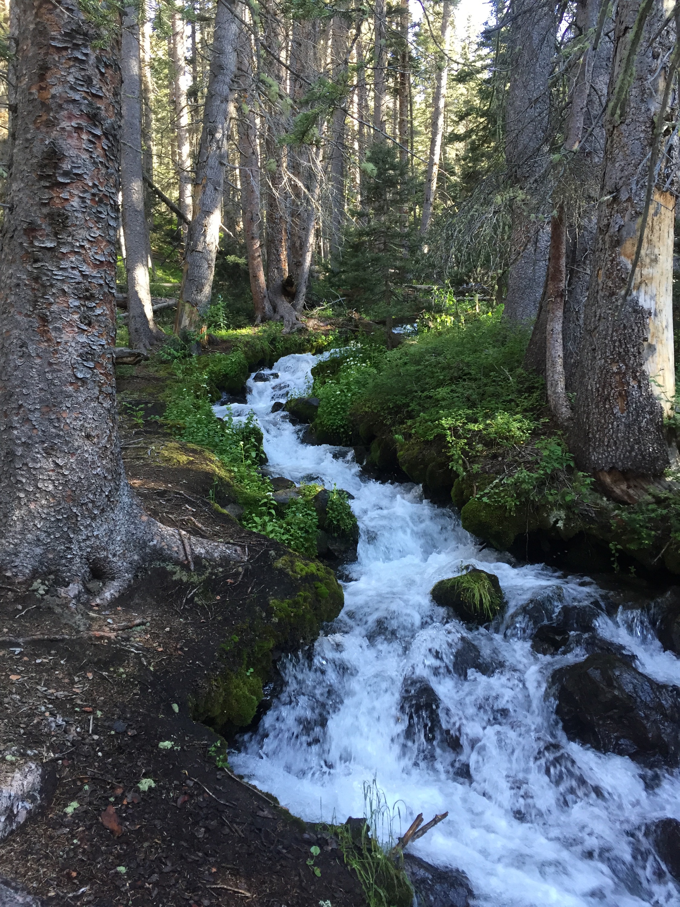 Lake Fork Heart Lake